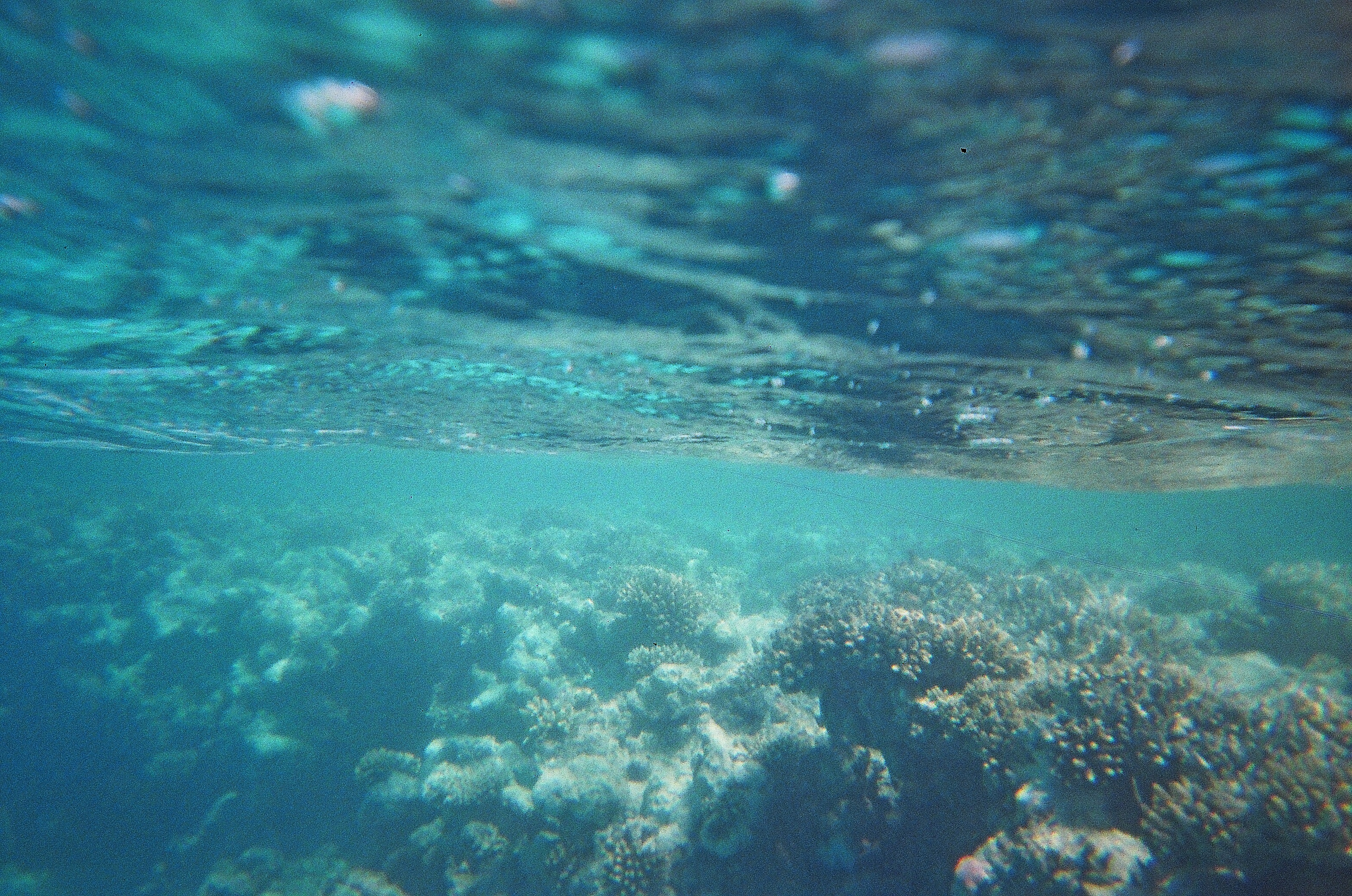 Толща воды в океане. Под водой. Океан под водой. Ода воде. Pad vadoy.