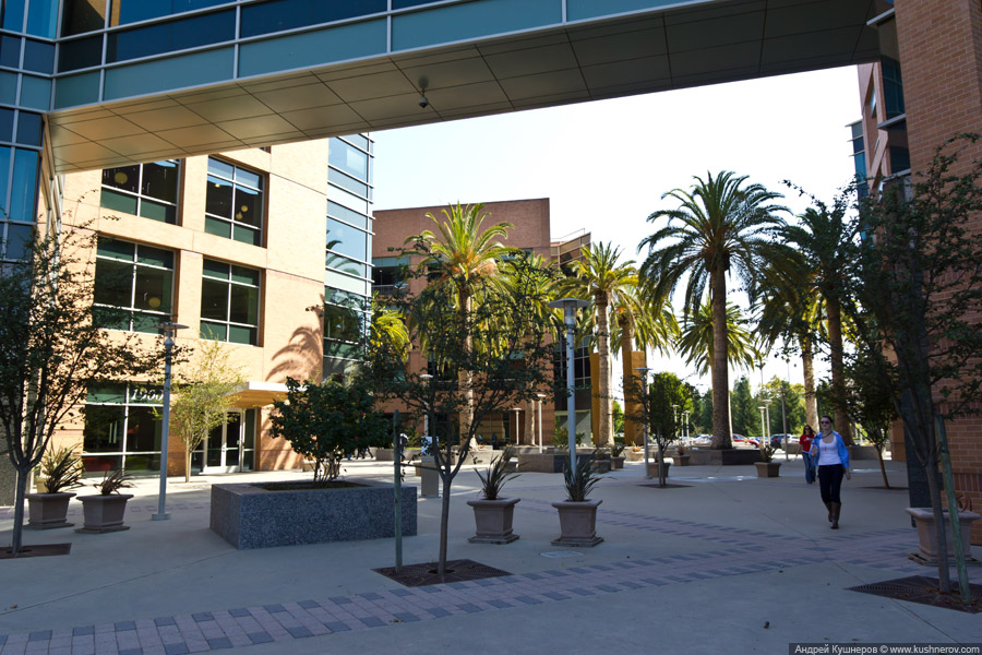 Googleplex - кампус Google в Mountain View, California