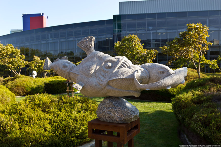 Googleplex - кампус Google в Mountain View, California