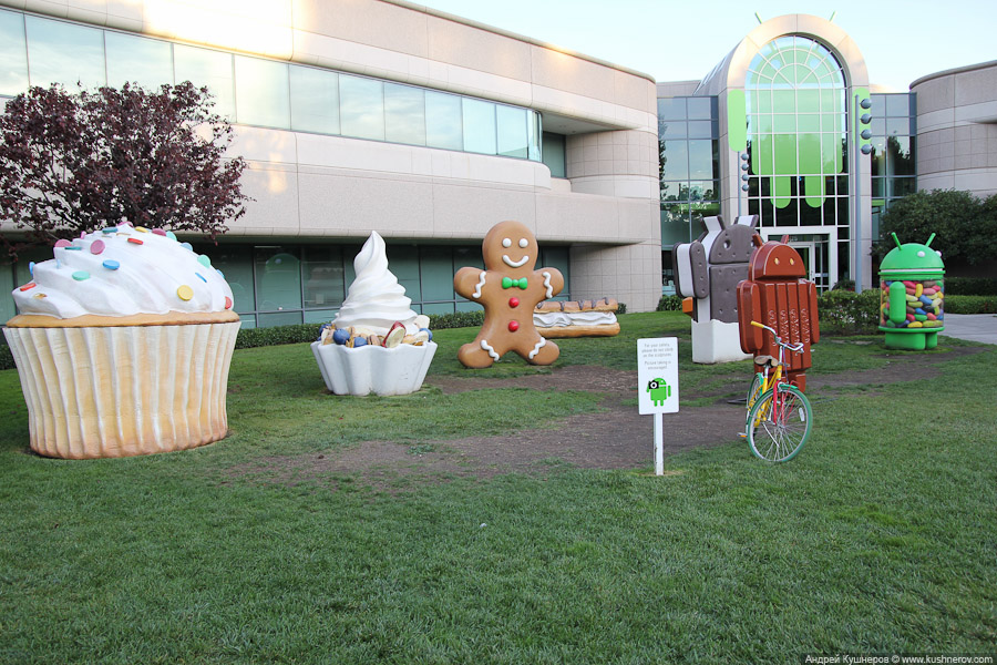 Googleplex4