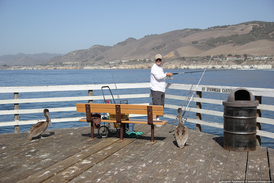 pismo_beach_0462