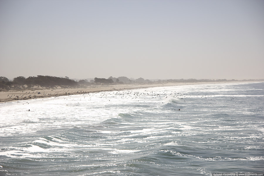 pismo_beach_0466